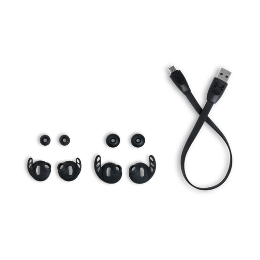 Under Armour True Wireless Flash Sports Earphones JBL PH
