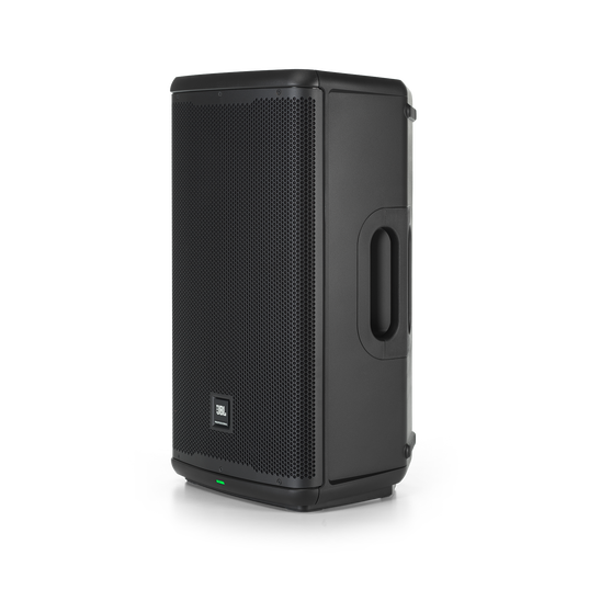 Speaker 12in shop