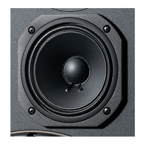 5.25-inch (130mm) Polymer-coated Pure Pulp cone midrange driver