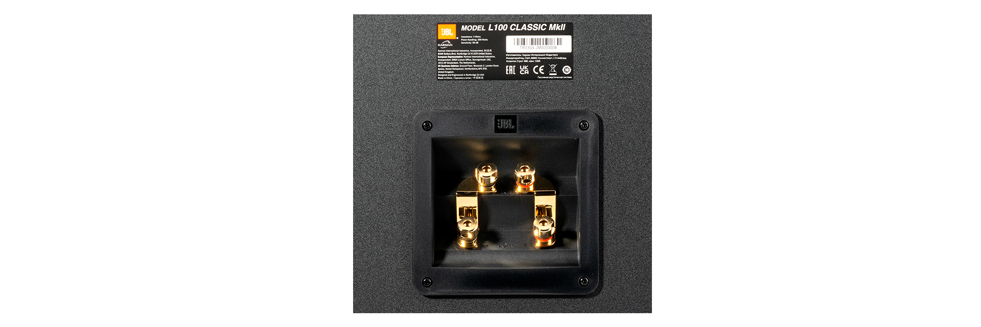 Separated Bi-wire / Bi-amp crossover network and dual sets of gold-plated binding posts