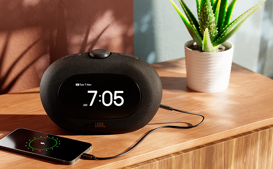 Powerful JBL Pro sound